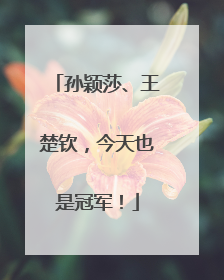 孙颖莎、王楚钦，今天也是冠军！