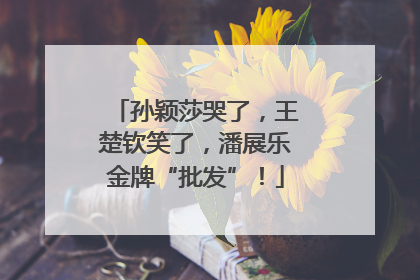 孙颖莎哭了，王楚钦笑了，潘展乐金牌“批发”！