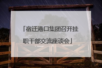 宿迁港口集团召开挂职干部交流座谈会