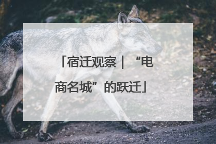宿迁观察｜“电商名城”的跃迁