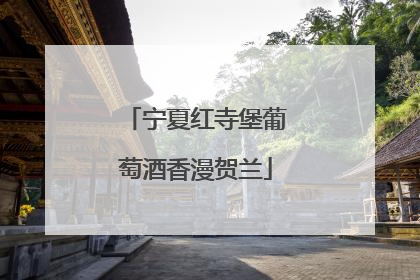 宁夏红寺堡葡萄酒香漫贺兰