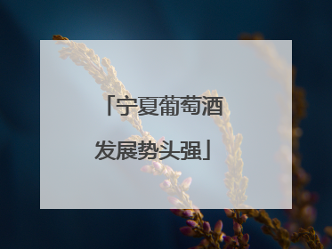 宁夏葡萄酒发展势头强