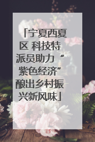 宁夏西夏区 科技特派员助力“紫色经济”酿出乡村振兴新风味