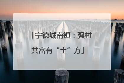 宁德城南镇：强村共富有“土”方