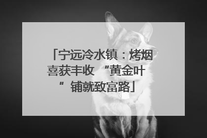 宁远冷水镇：烤烟喜获丰收 “黄金叶”铺就致富路