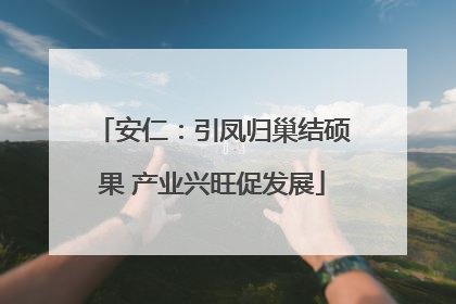 安仁：引凤归巢结硕果 产业兴旺促发展