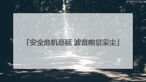 安全危机蔓延 波音前景蒙尘