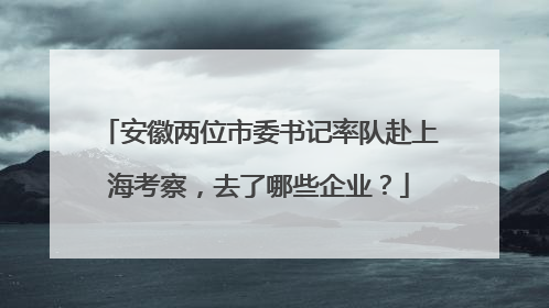 安徽两位市委书记率队赴上海考察，去了哪些企业？