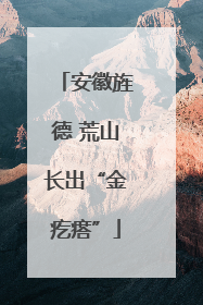 安徽旌德 荒山长出“金疙瘩”