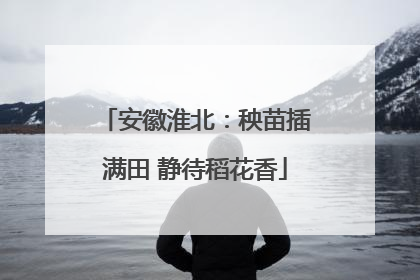 安徽淮北：秧苗插满田 静待稻花香