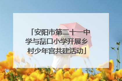 安阳市第二十一中学与磊口小学开展乡村少年宫共建活动