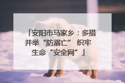 安阳市马家乡：多措并举“防溺亡” 织牢生命“安全网”