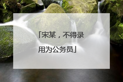 宋某，不得录用为公务员