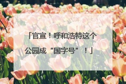 官宣！呼和浩特这个公园成“国字号”！