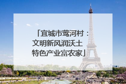 宜城市莺河村：文明新风润沃土 特色产业富农家