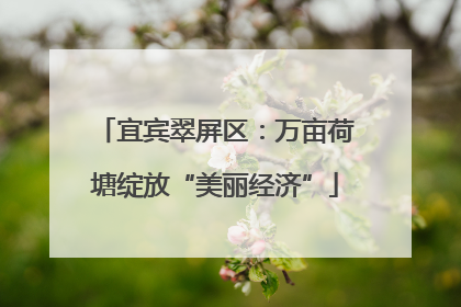 宜宾翠屏区：万亩荷塘绽放“美丽经济”