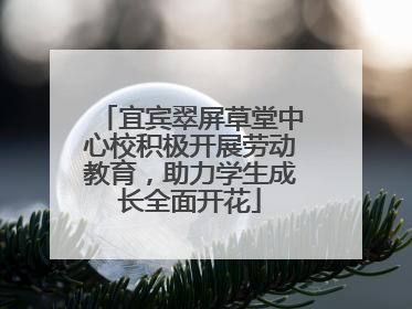 宜宾翠屏草堂中心校积极开展劳动教育，助力学生成长全面开花