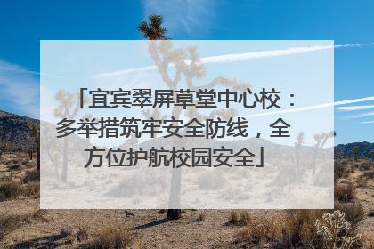 宜宾翠屏草堂中心校：多举措筑牢安全防线，全方位护航校园安全