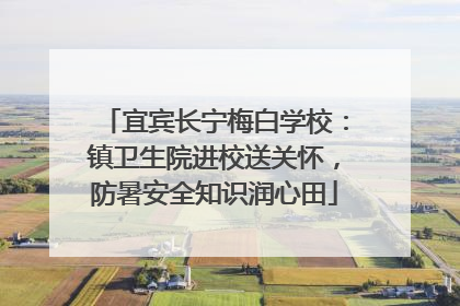 宜宾长宁梅白学校：镇卫生院进校送关怀，防暑安全知识润心田
