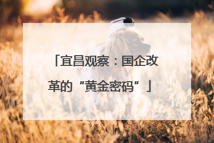 宜昌观察：国企改革的“黄金密码”