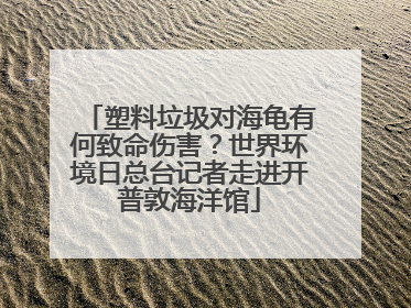塑料垃圾对海龟有何致命伤害？世界环境日总台记者走进开普敦海洋馆