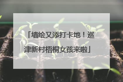 墙绘又添打卡地！巡津新村梧桐女孩来啦
