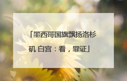 墨西哥国旗飘扬洛杉矶 白宫：看，罪证