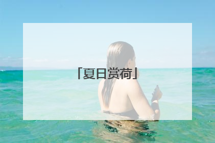 夏日赏荷