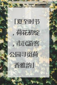 夏至时节，荷花初绽，市民游客公园寻觅荷香雅韵