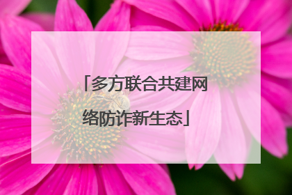 多方联合共建网络防诈新生态