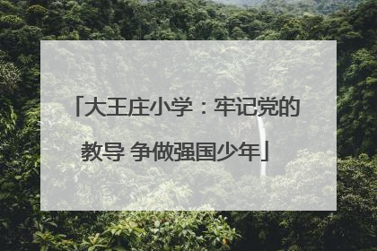 大王庄小学：牢记党的教导 争做强国少年