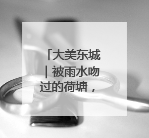 大美东城｜被雨水吻过的荷塘，藏着整个夏天的温柔