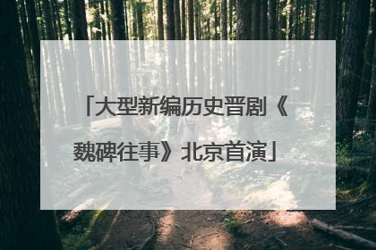 大型新编历史晋剧《魏碑往事》北京首演