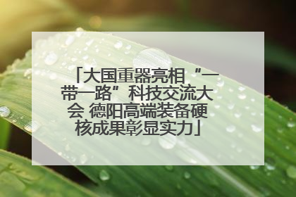 大国重器亮相“一带一路”科技交流大会 德阳高端装备硬核成果彰显实力