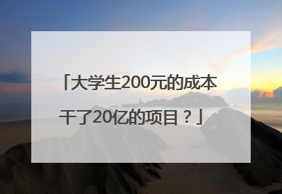 大学生200元的成本干了20亿的项目？