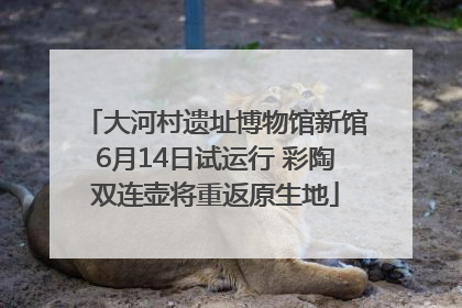 大河村遗址博物馆新馆6月14日试运行 彩陶双连壶将重返原生地