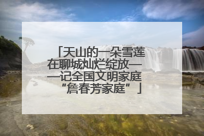 天山的一朵雪莲在聊城灿烂绽放——记全国文明家庭“詹春芳家庭”
