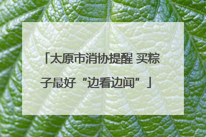 太原市消协提醒 买粽子最好“边看边闻”