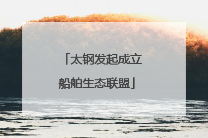 太钢发起成立船舶生态联盟