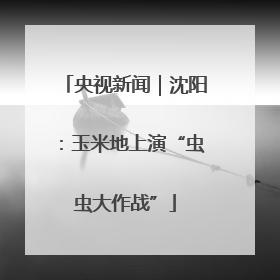 央视新闻｜沈阳：玉米地上演“虫虫大作战”