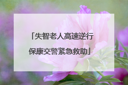 失智老人高速逆行 保康交警紧急救助