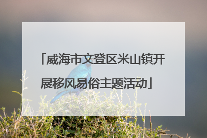威海市文登区米山镇开展移风易俗主题活动