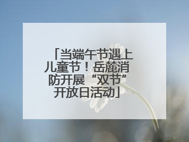 当端午节遇上儿童节！岳麓消防开展“双节”开放日活动
