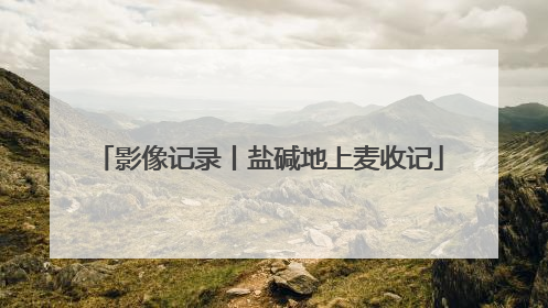 影像记录丨盐碱地上麦收记