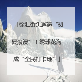 徐汇街头邂逅“初夏浪漫”！绣球花海成“全民打卡地”