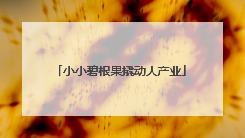 小小碧根果撬动大产业