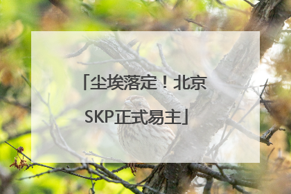 尘埃落定！北京SKP正式易主