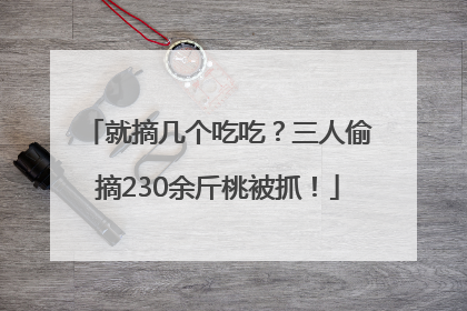 就摘几个吃吃？三人偷摘230余斤桃被抓！