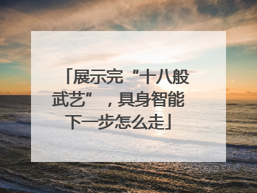 展示完“十八般武艺”，具身智能下一步怎么走