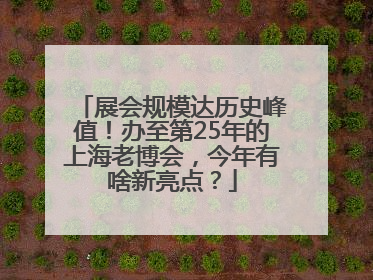 展会规模达历史峰值!办至第25年的上海老博会,今年有啥新亮点?